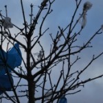 Why are ecological issues a matter of justice? Photo exhibition